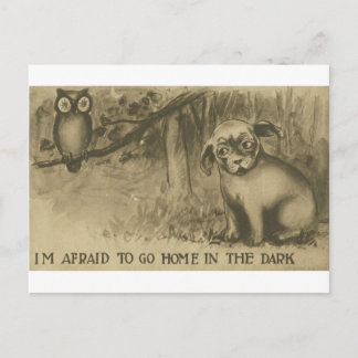 Carte Postale chien et hibou