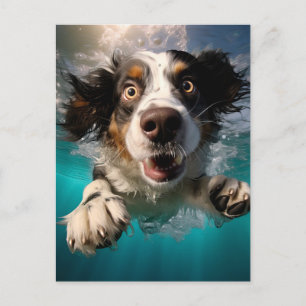 Carte Postale Chien Excité Nageant Sous l'Eau Création