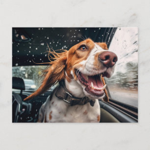 Carte Postale Chien excité sur Rainy Car Ride Art