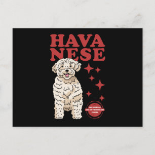 Carte Postale Chien Havanais Du Plus Coolé   Havaneses