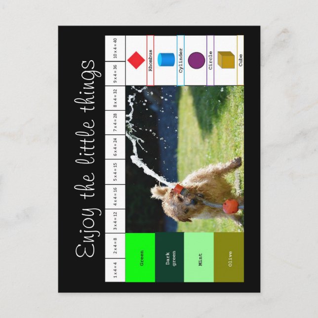 Carte Postale Chien jouant avec de l'eau (Devant)