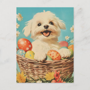 Carte Postale Chien maltais Vintage Pâques
