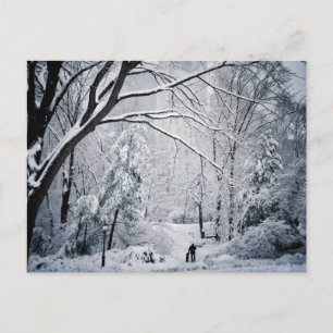 Carte Postale Chien marchant au pays des merveilles d'hiver