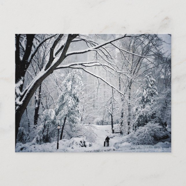 Carte Postale Chien marchant au pays des merveilles d'hiver (Devant)