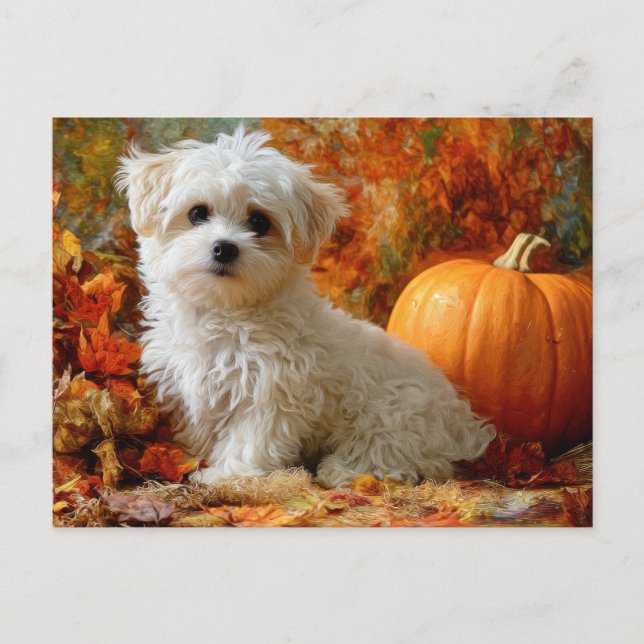 Carte Postale Chien Mignon Automne Citrouille Feuilles D'automne (Devant)