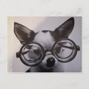 Carte Postale Chien mignon avec lunettes surdimensionnées