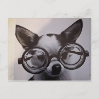 Carte Postale Chien mignon avec lunettes surdimensionnées