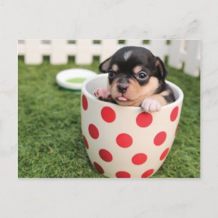 Carte Postale Chien mignon dans la tasse