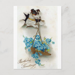 Carte Postale Chien mignon et chaussure voeux d'anniversaire
