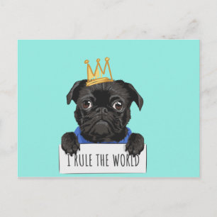 Carte Postale Chien noir de Carlin W / Couronne La Règle du mond