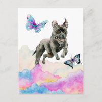 Chien Noir Qui Saute Sur Les Nuages Arc-En-Ciel