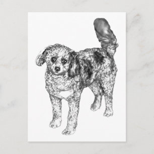 Carte Postale Chien ombré doux partage la joie festive d'hiver