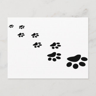 Carte Postale Chien Paw