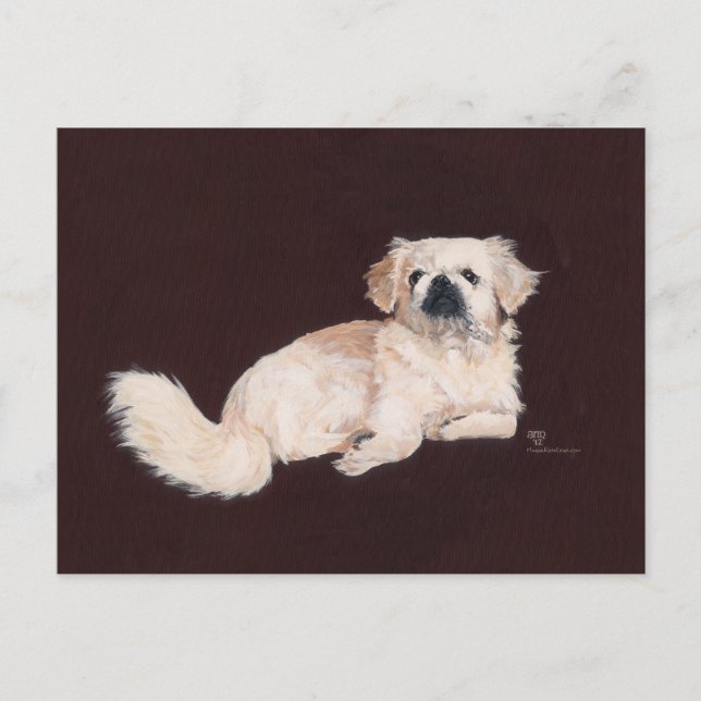 Carte Postale Chien pekingese blanc (Devant)