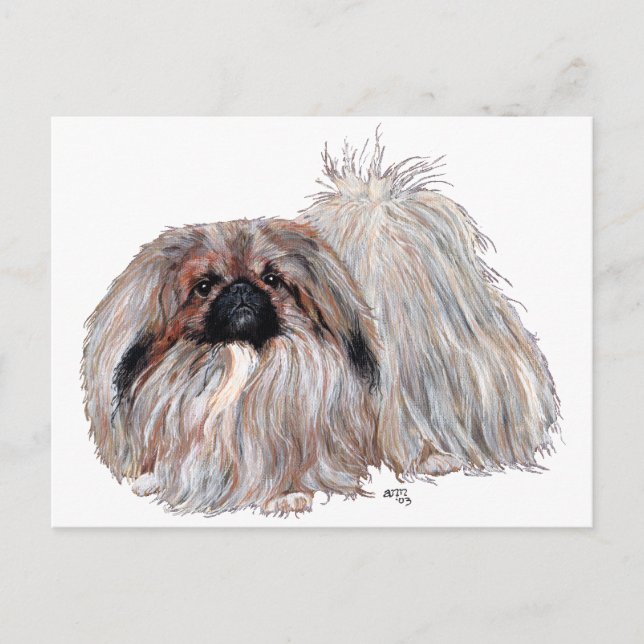 Carte Postale Chien Pékinois Debout (Devant)