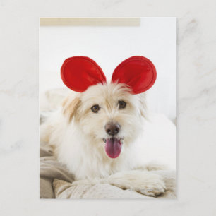 Carte Postale Chien portant des oreilles de jouet sur le lit