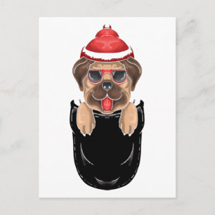 Carte Postale Chien Pug Mignon Assis Dans Une Poche