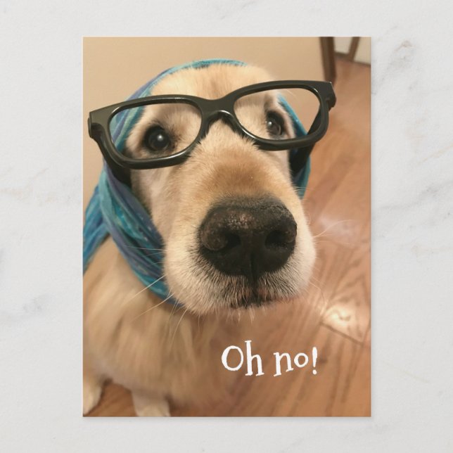 Carte Postale Chien Retriever Doré Avec Des Lunettes Anniversair (Devant)