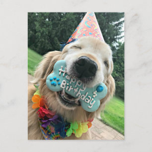 Carte Postale Chien Retriever Doré Avec Un Traitement Joyeux Ann