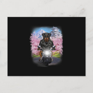 Carte Postale chien rottweiler en tournée de moto sous les ceris