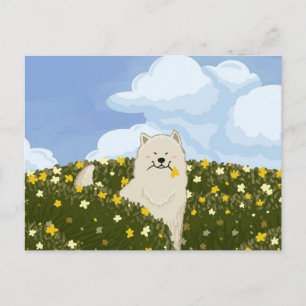 Carte Postale Chien Samoyède Mignon dans un Champ de Fleurs Jaun