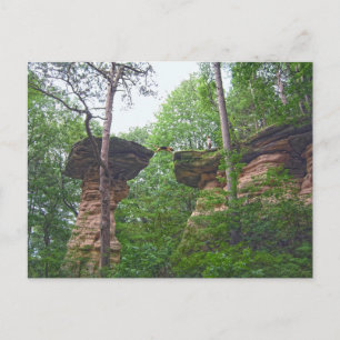 Carte Postale Chien sautant de Stand Rock dans Wisconsin Dells
