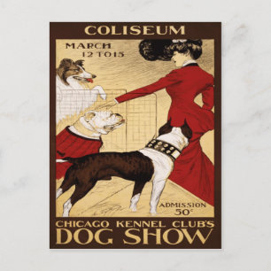 Carte Postale Chien Show 1902 du Chicago Kennel Club