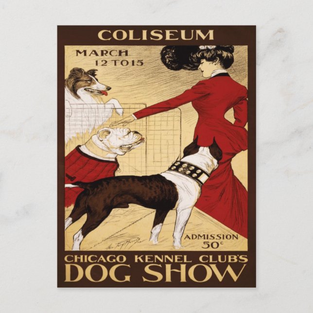 Carte Postale Chien Show 1902 du Chicago Kennel Club (Devant)