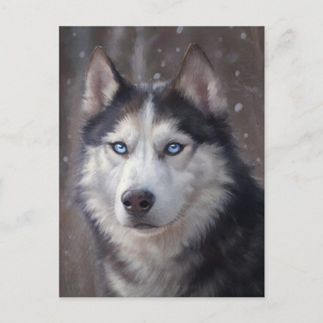 Carte Postale Chien sibérien Husky (Devant)