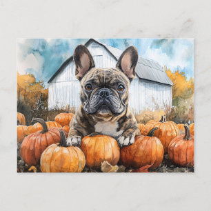 Carte Postale Chien-taureau français dans le Patch Citrouille