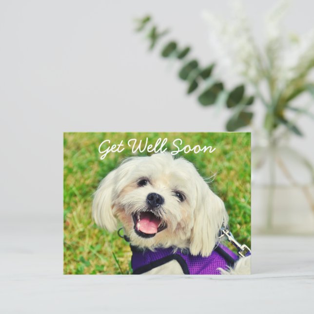 Carte Postale Chien vert frais et encouragement se tirer bien (Debout devant)
