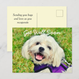 Carte Postale Chien vert frais et encouragement se tirer bien