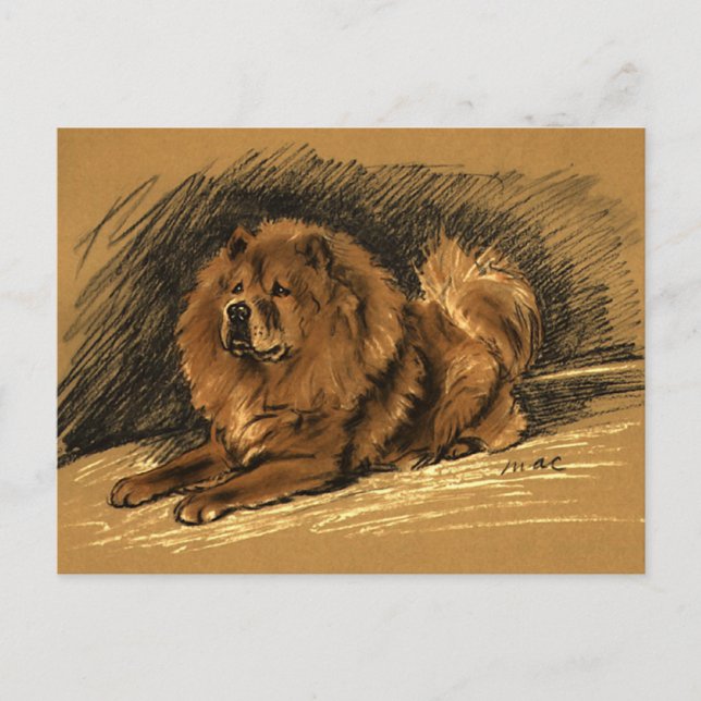 Carte Postale Chien vintage (Devant)