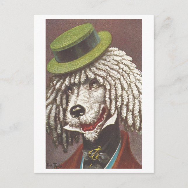 Carte Postale Chien vintage avec Casquette (Devant)