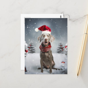 Carte Postale Chien Weimaraner de Noël