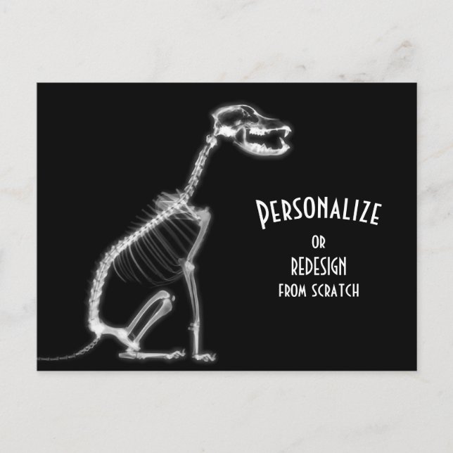 Carte Postale Chien X-Ray - B&W (Devant)
