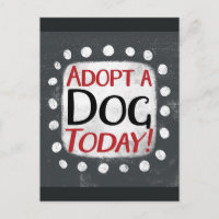 Carte postale Chienne à adopter aujourd'hui