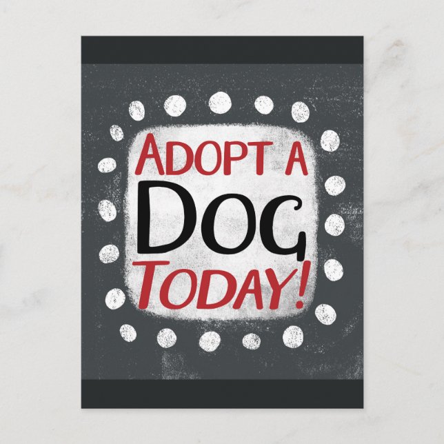 Carte postale Chienne à adopter aujourd'hui (Devant)