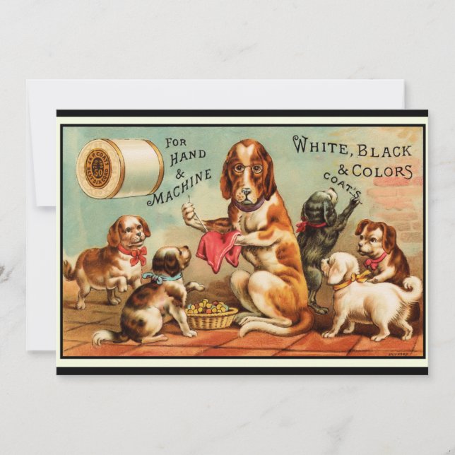 Carte postale Chiens à coudre (Devant)