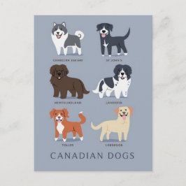 Carte Postale Chiens canadiens