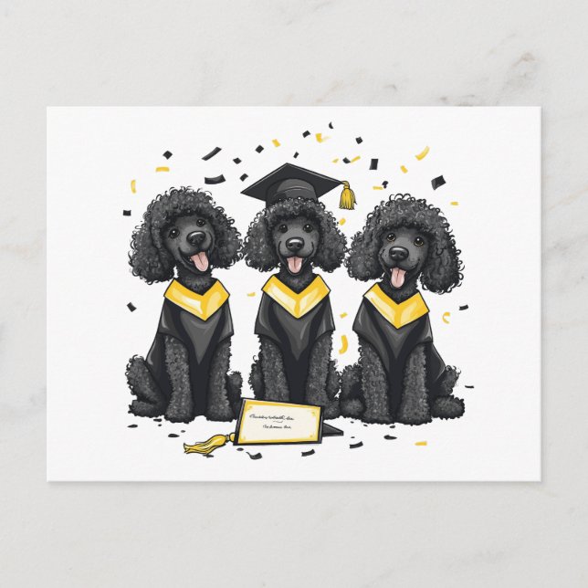 Carte Postale Chiens Caniches Standard de Remise de Diplômes (Devant)