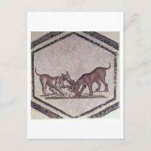 Carte Postale Chiens combattant pour un Oiseau, Romain, 2e-3e si