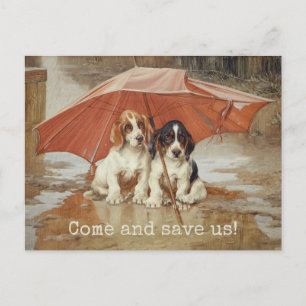 Carte Postale Chiens de chien Basset sous parapluie CC0181 Trood