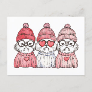 Carte Postale Chiens de Chih Tzu de la fête de Valentines