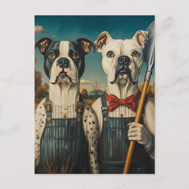Carte Postale Chiens de ferme Americana Portrait (Devant)