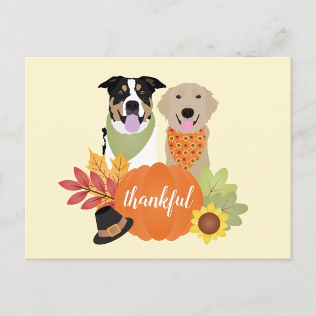 Carte Postale Chiens de grâce Thanksgiving Citrouilles de récolt (Devant)