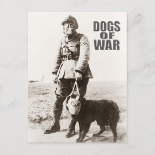 Carte Postale Chiens de guerre portant un masque à gaz