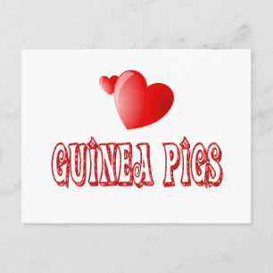 Carte Postale Chiens de Guinée
