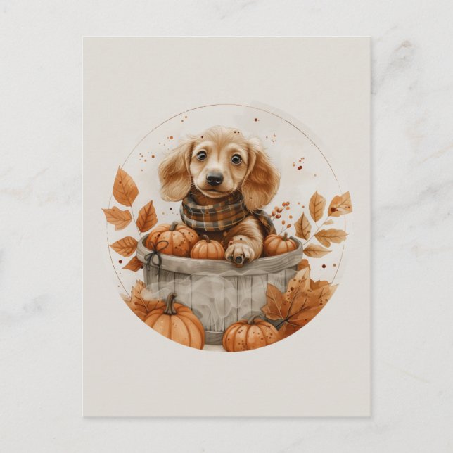 Carte Postale Chiens de l'automne Dachshund Citrouille (Devant)