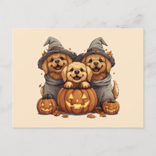 Carte Postale Chiens de l'Halloween Golden Retriever Jack-o'-lan